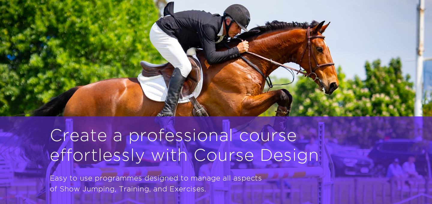 Strides Course Design